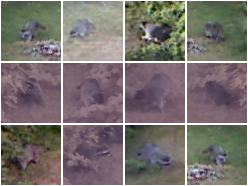 False Negatives in Color